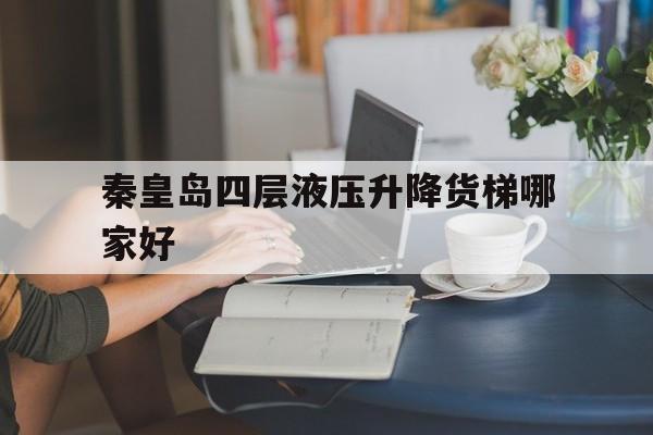秦皇岛四层液压升降货梯哪家好（货梯升降机多少钱）
